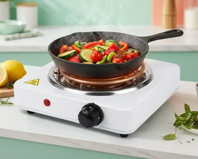 Portable Electric Cooking Stove
